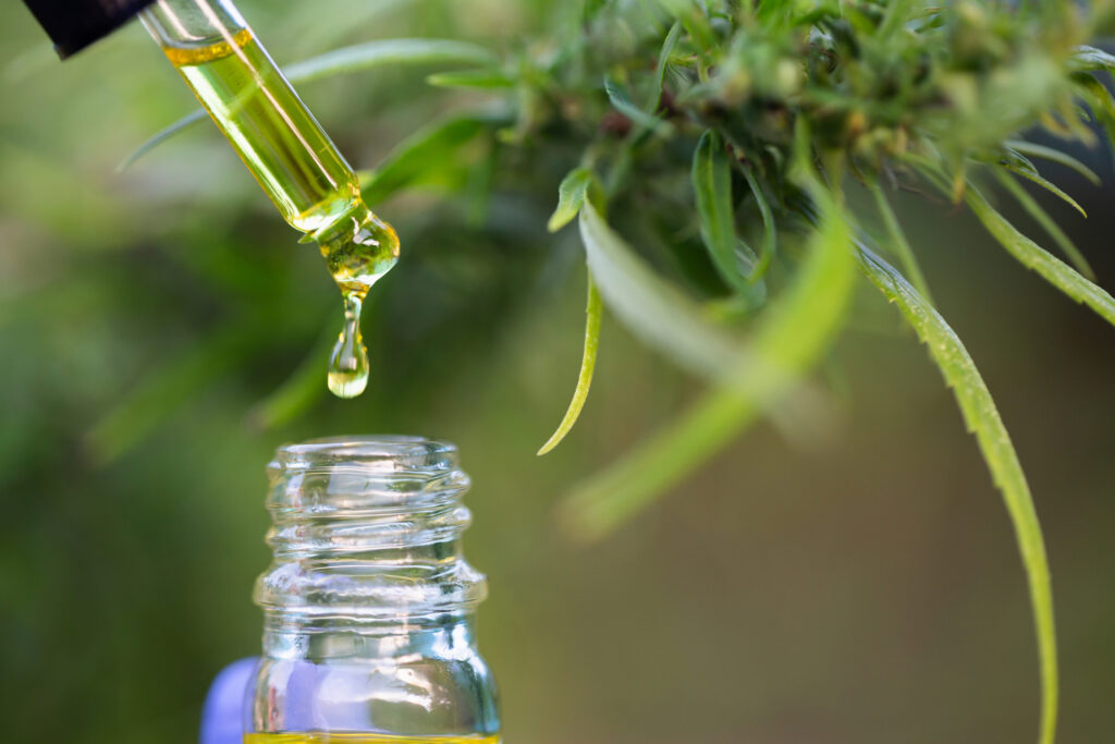 CBD OILS TYPES