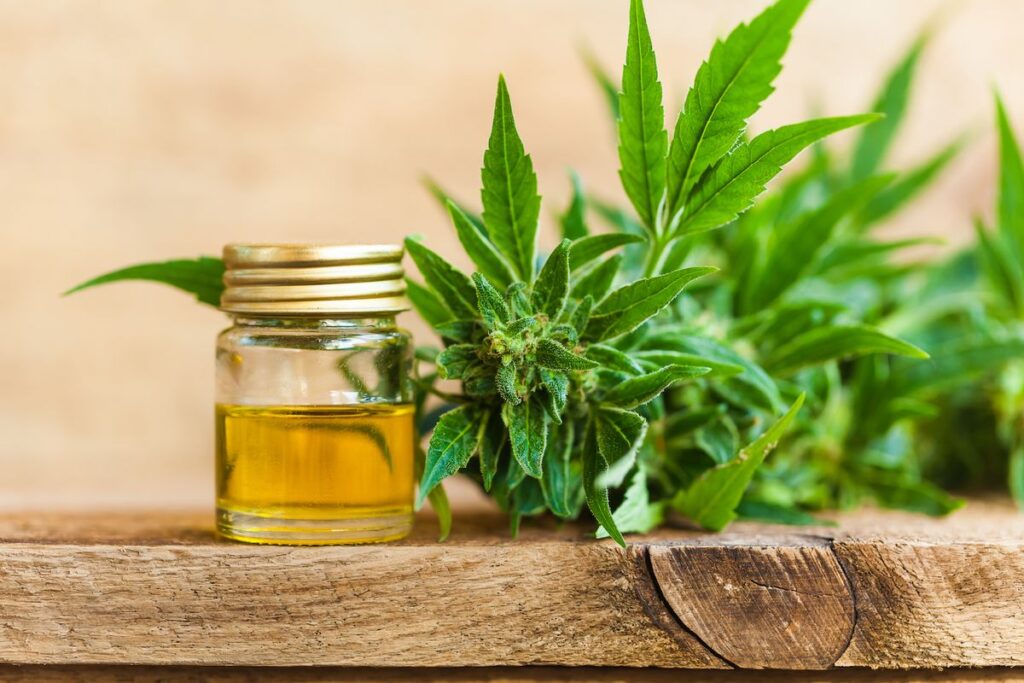 Does CBD Oil Work For Pain Relief