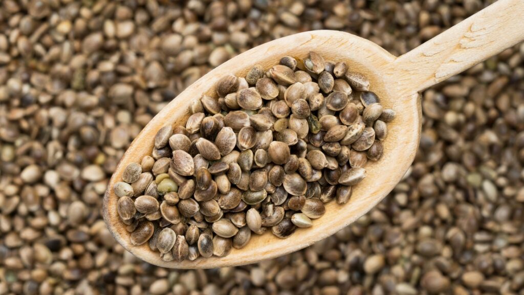How Cannabis Seeds Can Contribute to Your Well-being