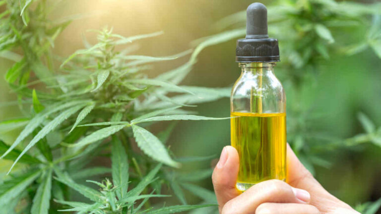 CBD for regular use