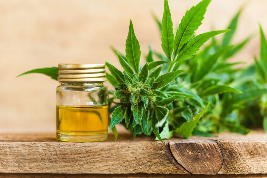 CBD Oil and Autoimmune Thyroid Disorders Potential Immunomodulatory Effects