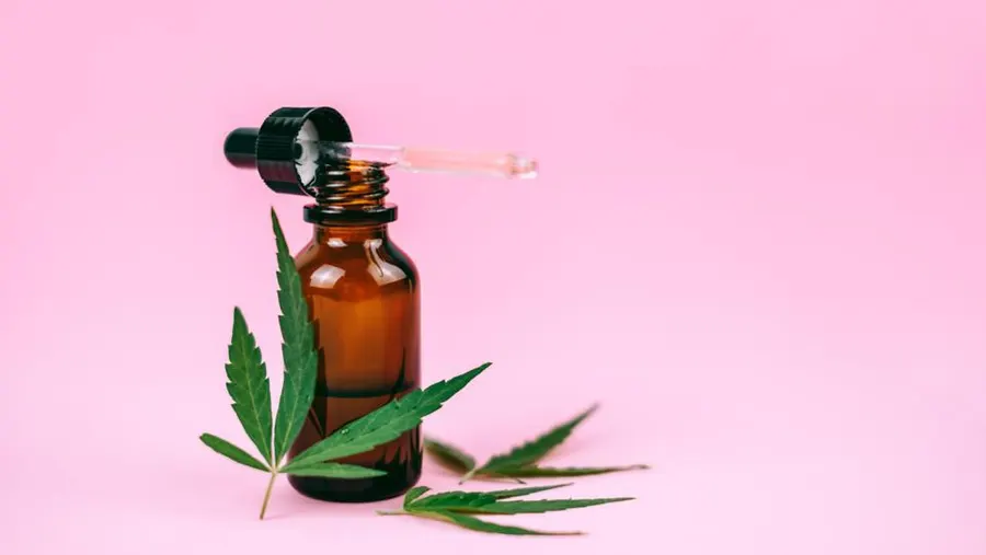 Can You Take CBD Oil Daily Benefits and Long-Term Safety
