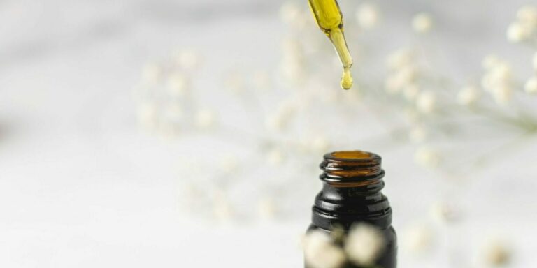 Can You Cook With CBD Oil Best & Worst Foods to Mix It With